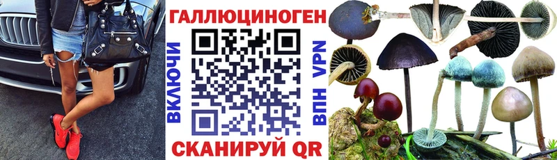 ссылка на мегу   Шимановск  Псилоцибиновые грибы Magic Shrooms 