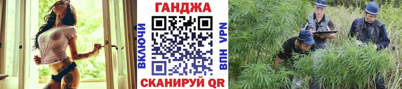 Шишки марихуана VHQ  блэк спрут ссылки  Шимановск 
